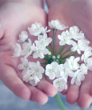 Lumina - Spiritueller Coach/ Life Coach - Karmische Liebe / Karmaberatung - Liebe / Partnerschaft - Hellsehen - Psychologische Beratung /Coaching