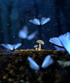 Mystic - Beruf / Finanzen - Seelenpartnerschaften / Dualseelenliebe - Karmische Liebe / Karmaberatung - Liebe / Partnerschaft - Engel / Engelbotschaften / Engelzahlen