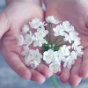 Lumina - Liebe / Partnerschaft - Spiritueller Coach/ Life Coach - Psychologische Beratung /Coaching - Blockadenlösung - Hellsehen